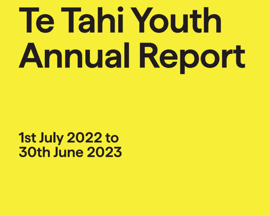 Annual Report cover2